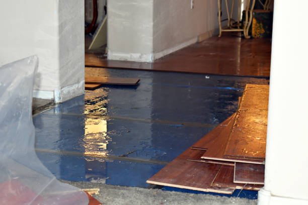 Professional Burst Pipe Cleanup technician working in Hobson, TX